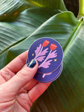 Load image into Gallery viewer, Frolic + Skyward Sticker Pack • Set of 2 • Free Shipping