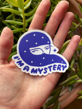 Load image into Gallery viewer, I'm a Mystery Sticker Pack • Set of 2 • Free shipping