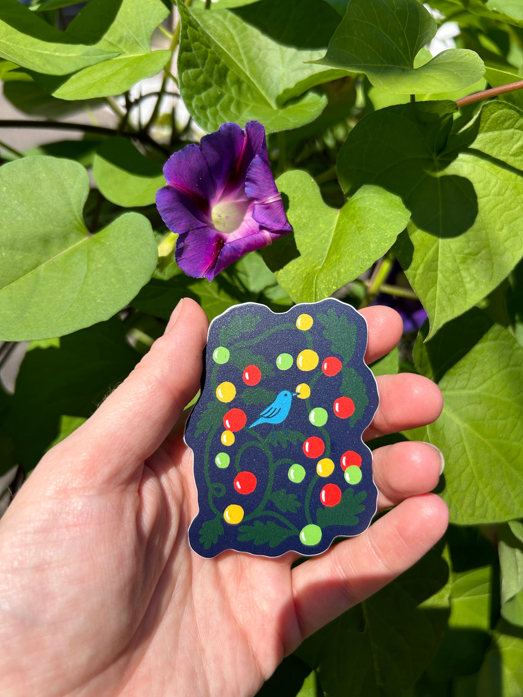 August 2025 sticker: Tomato Thief (ships free)