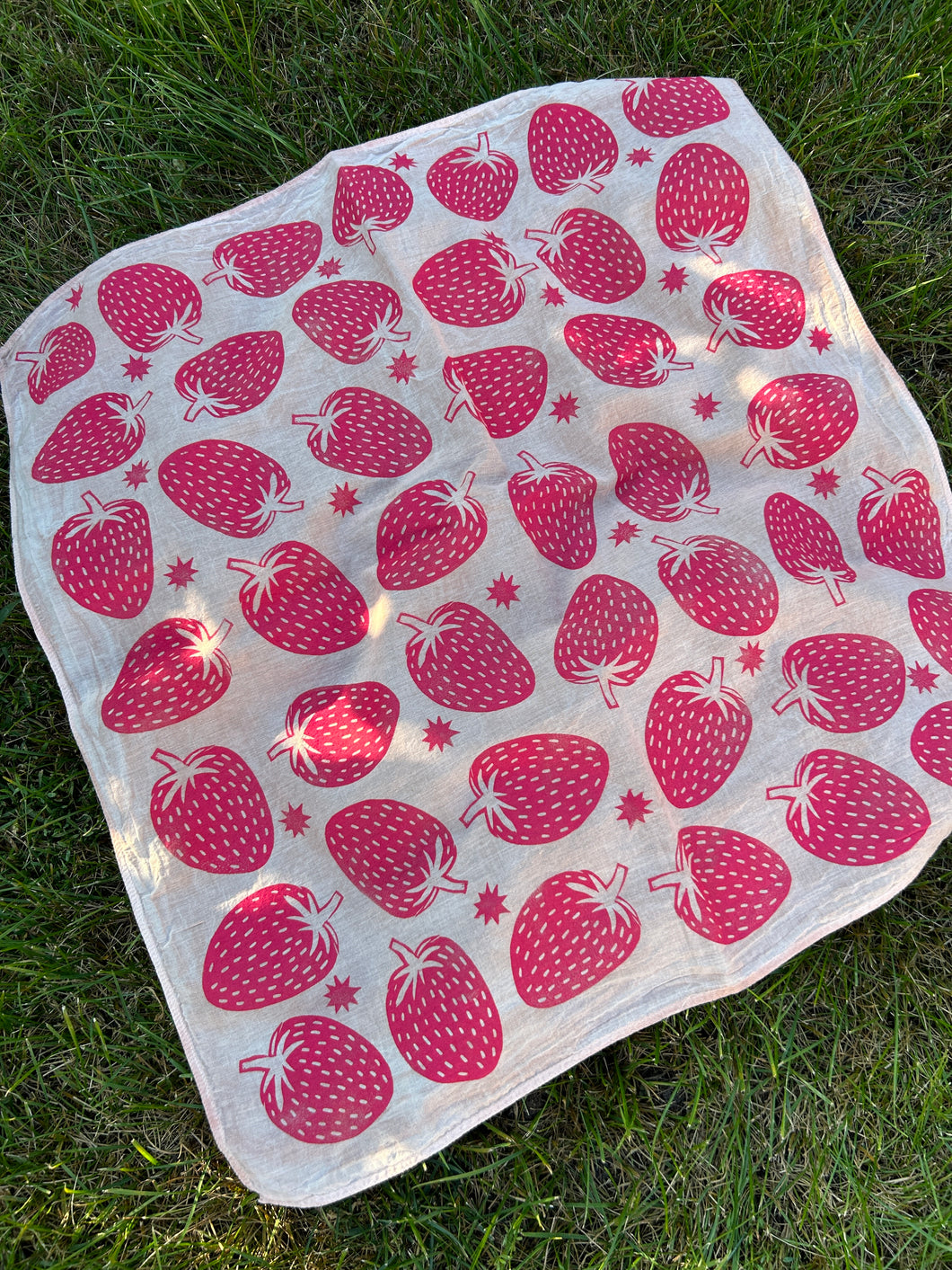 Red Strawberries - Naturally Dyed and Handprinted Scarf