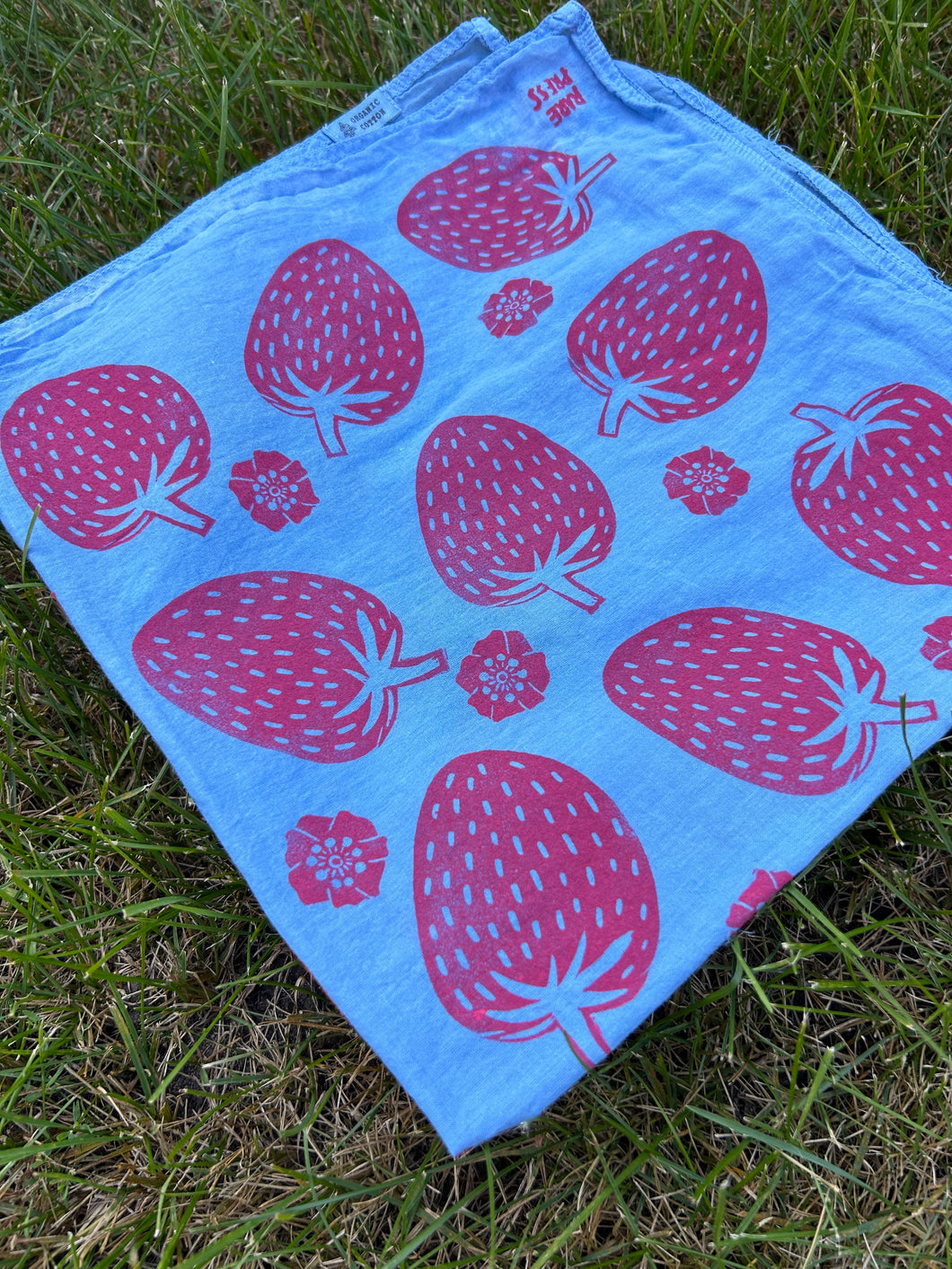 Pink Strawberries - Naturally Dyed and Handprinted Scarf