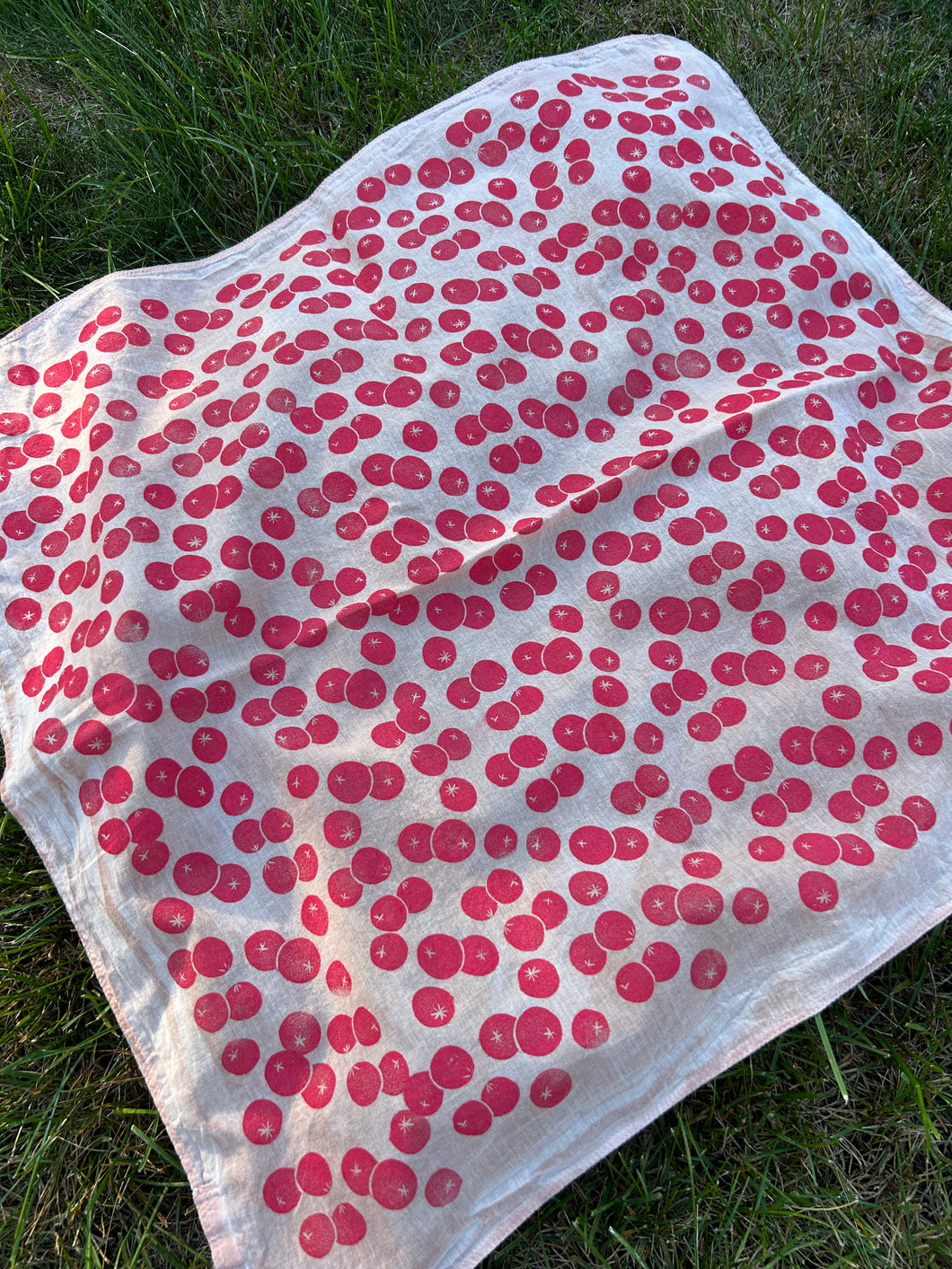 Cherry Tomatoes #1 - Naturally Dyed and Handprinted Scarf