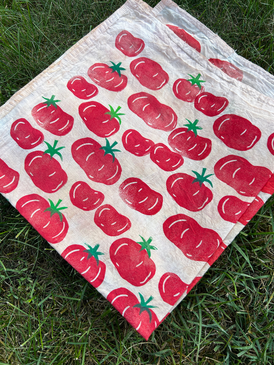 Heirloom Tomatoes #1 - Naturally Dyed and Handprinted Scarf