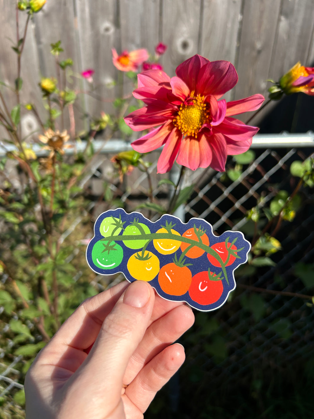 August 2025 sticker: Cherry Tomatoes (ships free)