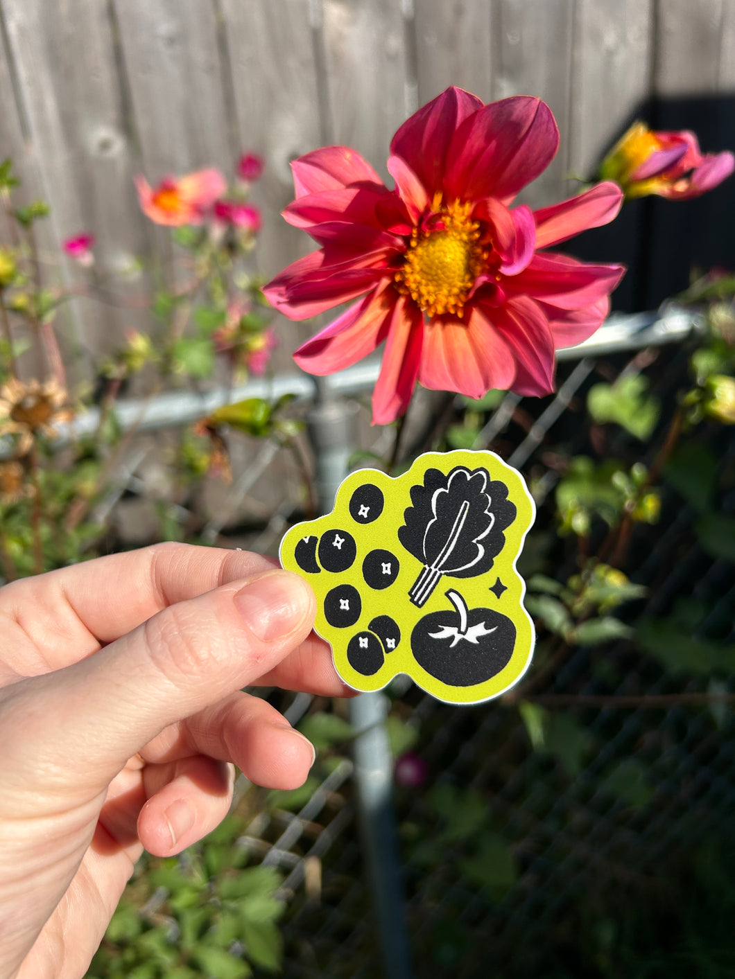 June 2025 sticker: Summer Harvest (ships free)