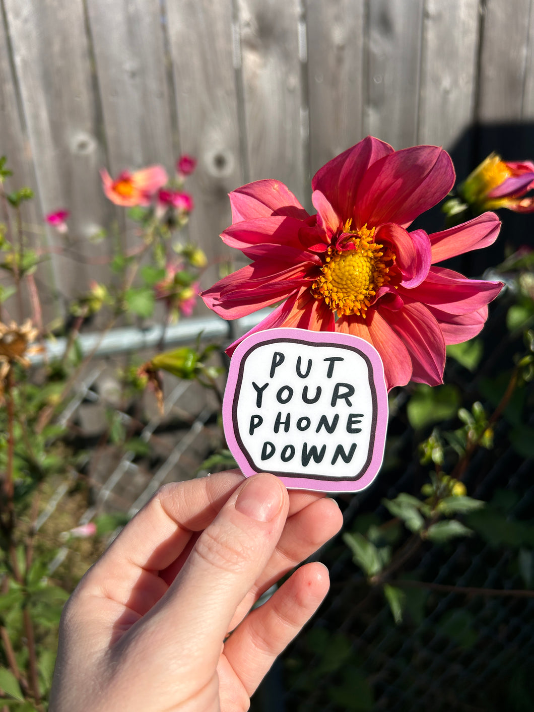May 2025 sticker: Put Your Phone Down (ships free)