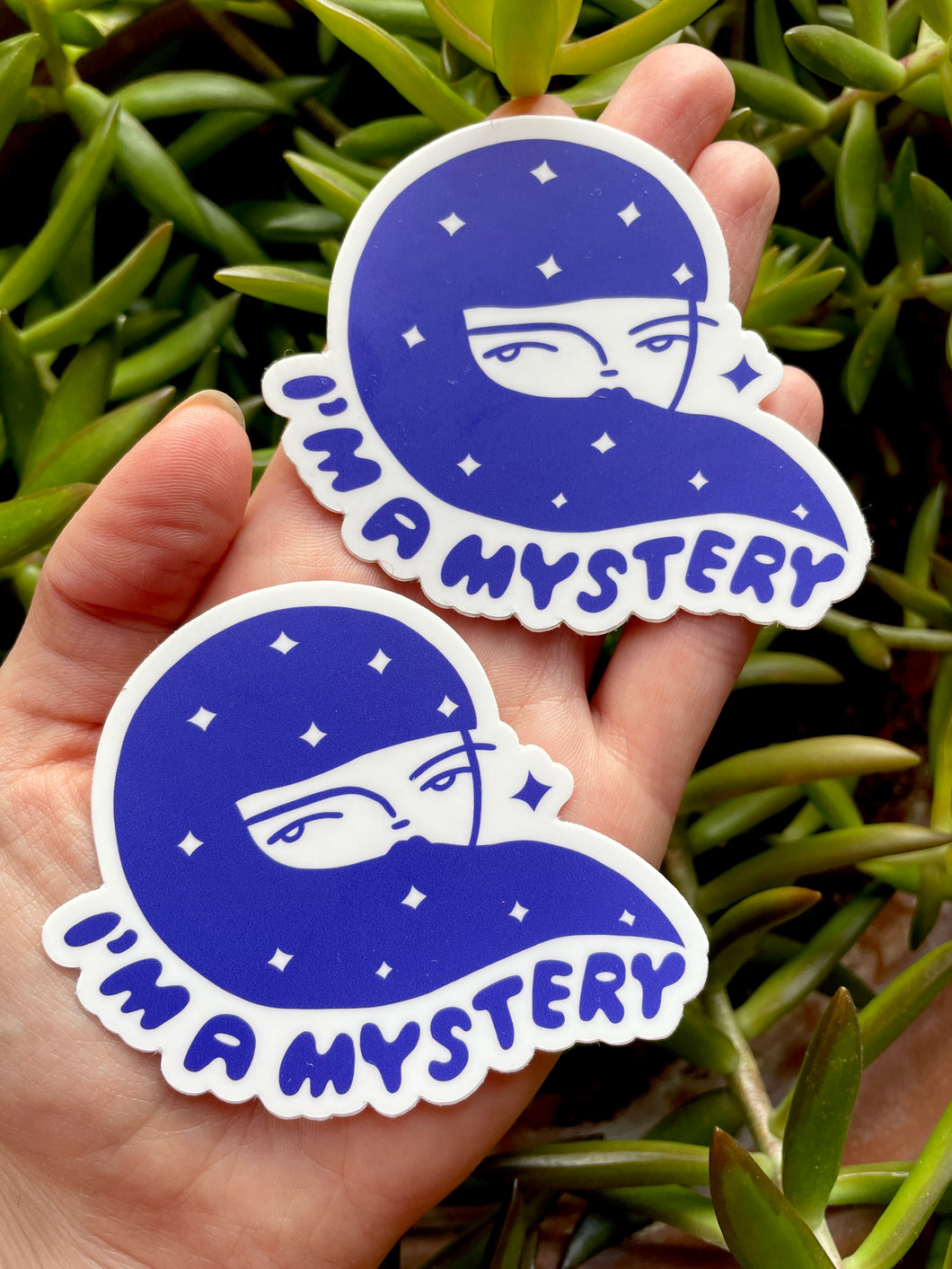I'm a Mystery Sticker Pack • Set of 2 • Free shipping